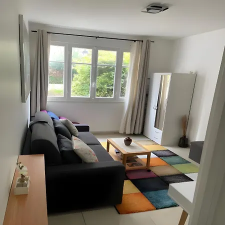 Climatise Paris Expo Porte De Versailles - Dome De Paris , Near Transportation Links Apartment *